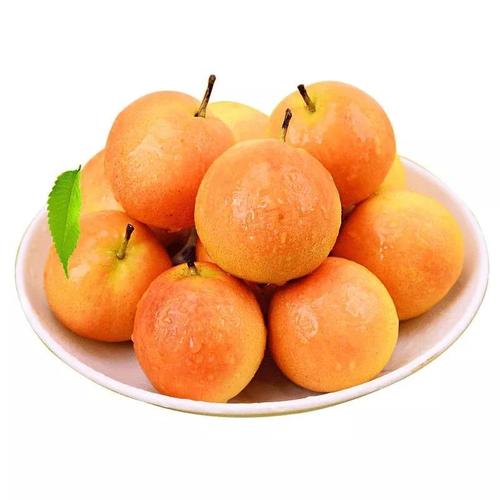 哈爾濱潤恒城 北國果品之源，鮮行天下的商貿(mào)明珠